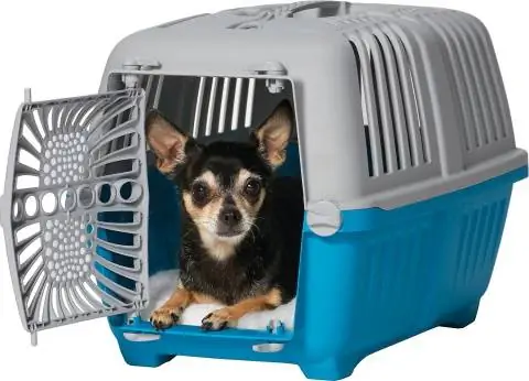 MidWest Spree Hard-Sided Dog & Cat Kennel