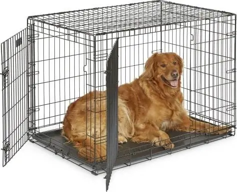 MidWest iCrate Fold & Carry Double Door Collapsible Wire Dog Crate