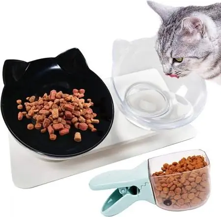 Legendog Cat Bowls