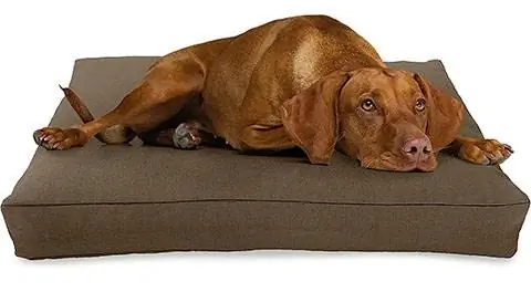 Cama de cachorro de cânhamo orgânica premium de cacau e produtos de feijão