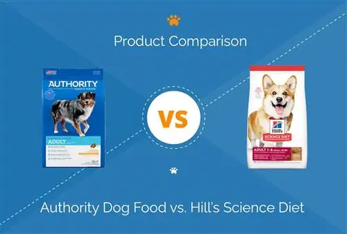 Aliments per a gossos de l'autoritat vs. Hill's Science Diet (comparació de 2023): què hauria de triar?