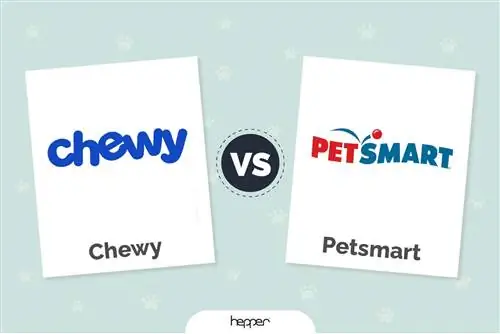 Chewy-ն ընդդեմ PetSmart-ի՝ գներ, որակ & Ծառայություն համեմատած (2023 թ. թարմացում)