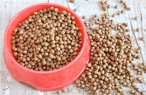 Cibo per cani a base di cereali