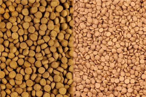 Cibo per cani senza cereali X Cibo per cani con cereali