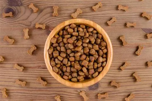 Cibo per cani senza cereali