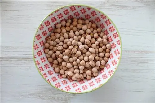 garbanzos