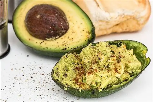 Guacamole à l'avocat