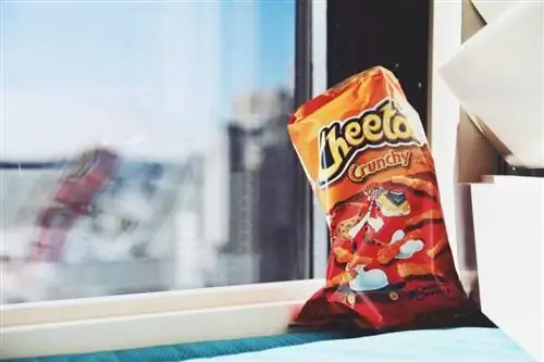 cheetos ved vinduet