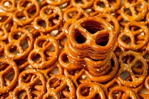 Kan katte pretzels eet? Wat jy moet weet