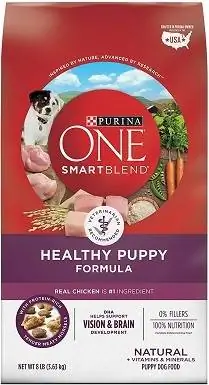 Purina ONE