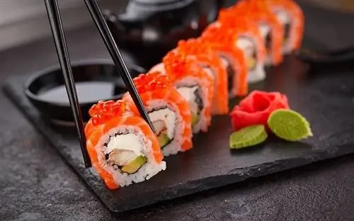 A mund të hanë macet Sushi? Çfarë duhet të dini