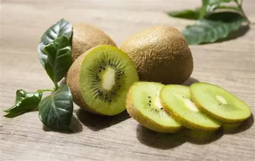 prutas ng kiwi sa kahoy na mesa