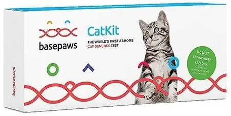 Basepaws Cins + Pişiklər üçün Sağlamlıq DNT Testi