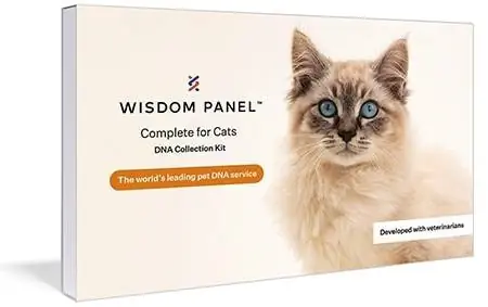 Test del DNA del gatto Wisdom Panel per la salute completa, i tratti, la razza e l'ascendenza