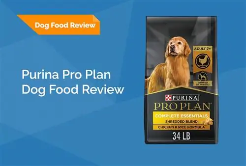 Purina Pro Plan Complete Essentials Dog Food Review 2023: recordatoris, avantatges, & contres