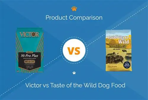 Victor vs Taste of the Wild Dog Food: comparació 2023