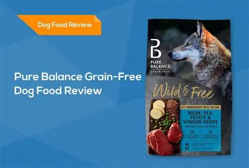 Κριτική Pure Balance Grain-Free Dog Food Food 2023: Recalls, Pros & Μειονεκτήματα