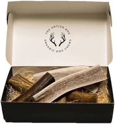 Gryzak dla psa Antler Box Elk