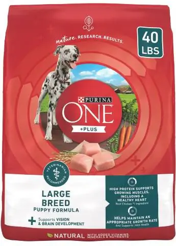 פורינה ONE +Plus Natural Large Breed Formula מזון יבש לגורים