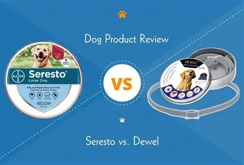 Seresto vs Dewel: qual pulga & Tick Collar é melhor?