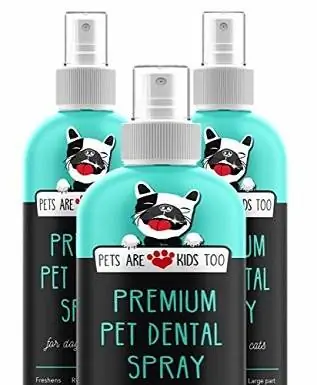 Pets Are Kids Too Vaporisateur dentaire pour animaux de compagnie