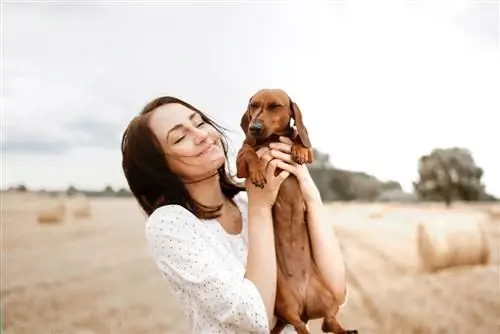 A janë Dachshunds Qentë e Mirë të Familjes? A janë ata mirë me fëmijët?