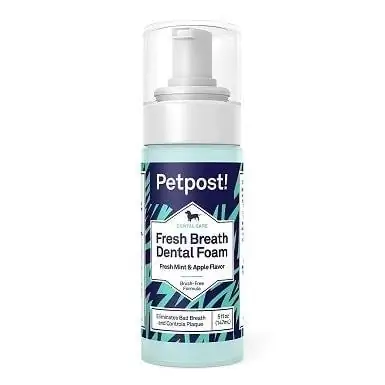 Petpost Fresh Breath Foam