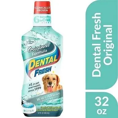 Synergy Labs FG00013 Dental Fresh