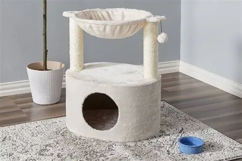 árbol para gatos con hamaca