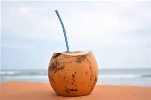 agua de coco