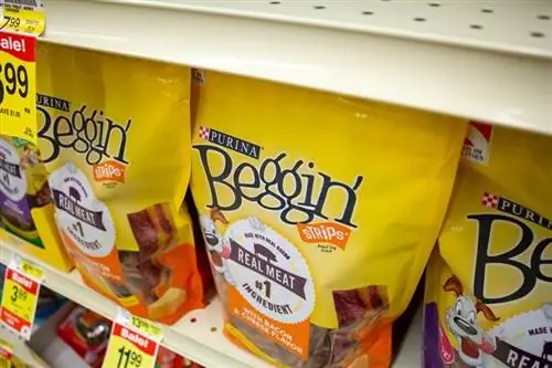 Können Katzen Beggin’ Strips essen? Was du wissen musst