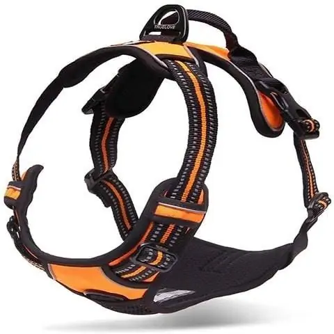 Chai's Choice Best Outdoor Adventure Dog Harness