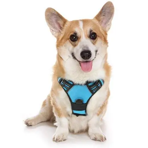 Rabbitgoo Dog Harness ምንም-የሚጎትቱ የቤት እንስሳት መታጠቂያ