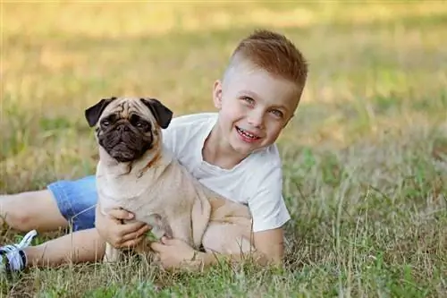 cậu bé với con chó pug trên cỏ xanh