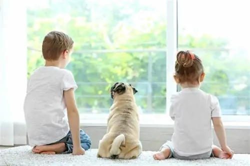 espalda de niños y perro pug en casa