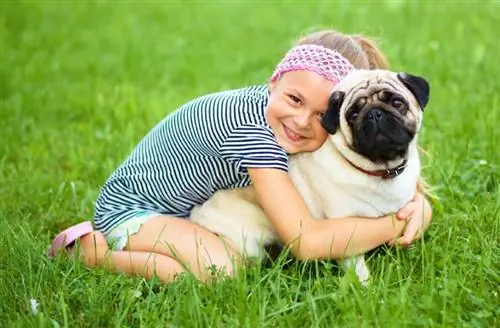 cô bé và chú chó pug của mình trên cỏ xanh