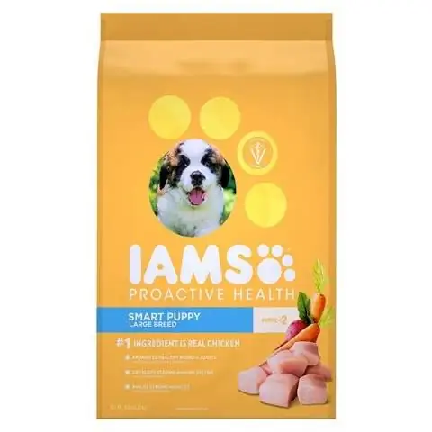 Ração seca para cachorro Iams ProActive He alth Smart Puppy