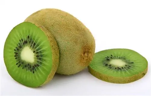 Kiwi жимс