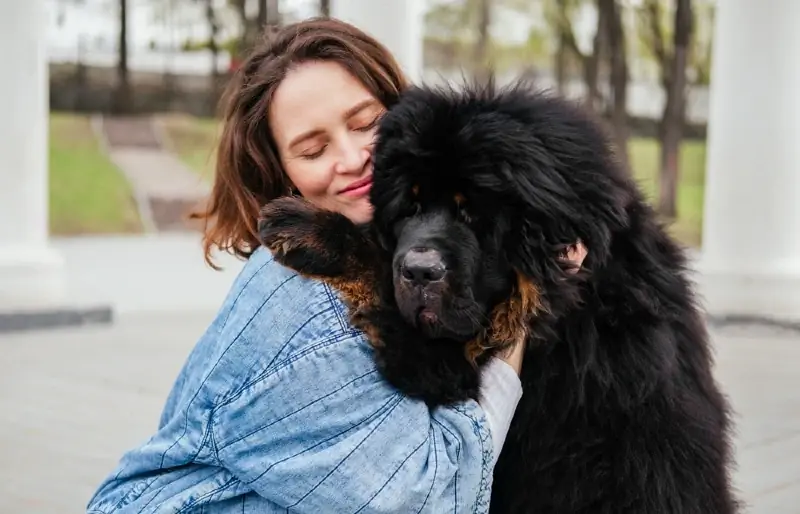 žena objímala černou tibetskou dogu