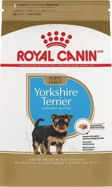 Кученце йоркширски териер Royal Canin