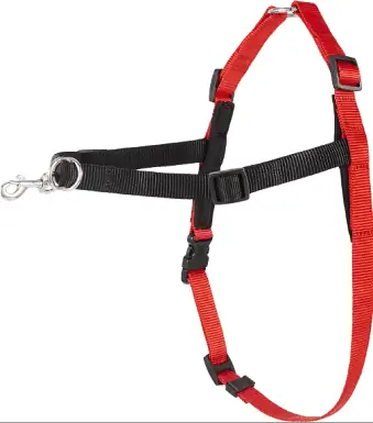 H alti Dog Harness