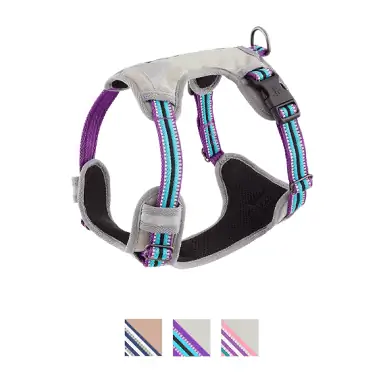 Blueberry Pet 3M reflectorizant multicolor