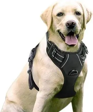 rabbitgoo Dog Harness