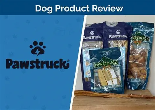 Pawstruck Dog Chews & Recenzia pochúťok 2023: Názor nášho experta