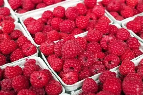 የ Raspberries ቅርጫቶች