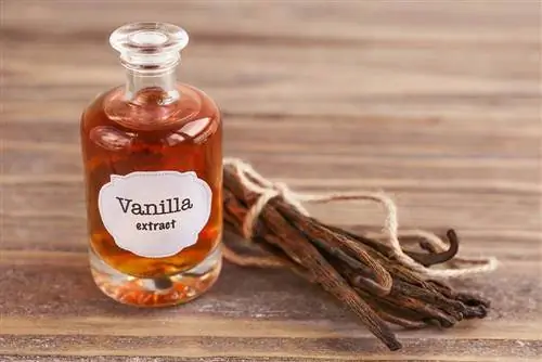 de-boteng vanilla extract