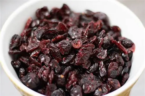 ένα μπολ με αποξηραμένα cranberries ή craisins