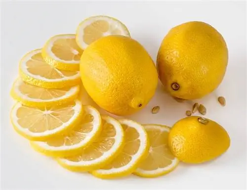 dilimlenmiş ve bütün limonlar