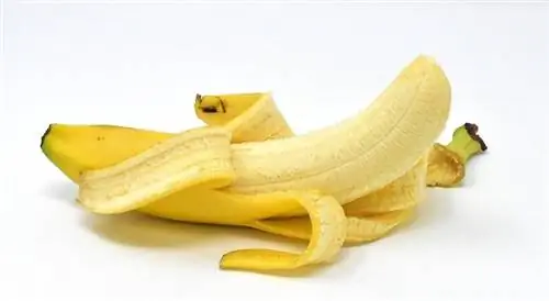 Banan