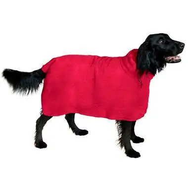 THE SNUGGLY DOG Asan Wear İt Dəsmal